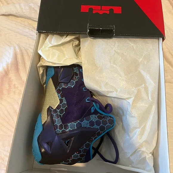 Nike LeBron Xl